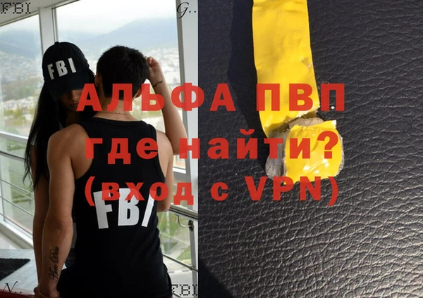 СК Новодвинск